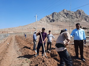 آئین روز درختکاری 6||||2120||||آئین روز درختکاری